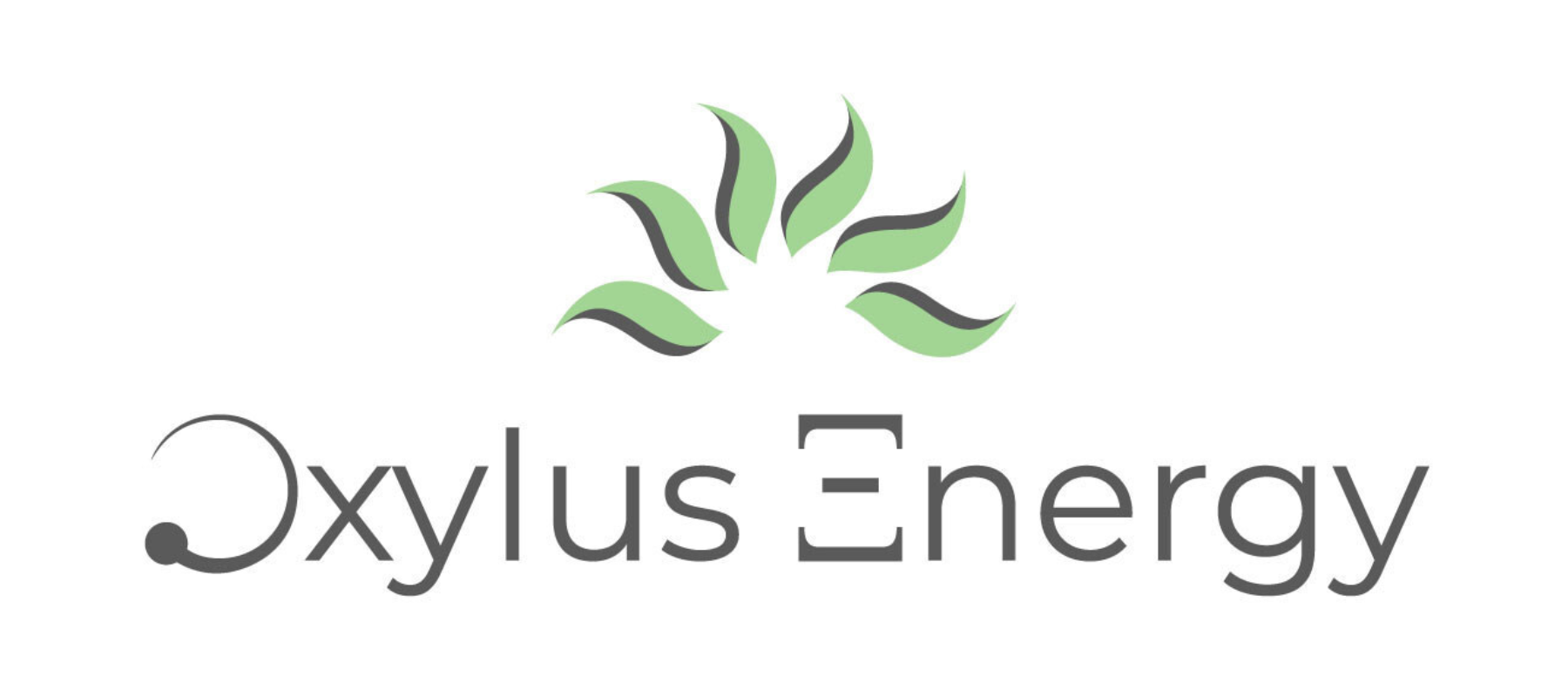 Climatetech startup Oxylus Energy raises $4.5m seed round for clean fuel technology